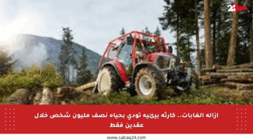 إزالة الغابات.. كارثة بيئية تودي بحياة نصف مليون شخص خلال عقدين فقط